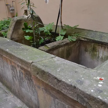 Rhomeholidays Trastevere Daire *